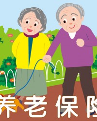 张敬伟：以“养老保险+”破解养老难题