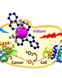 铱金属被证实可摧毁癌细胞